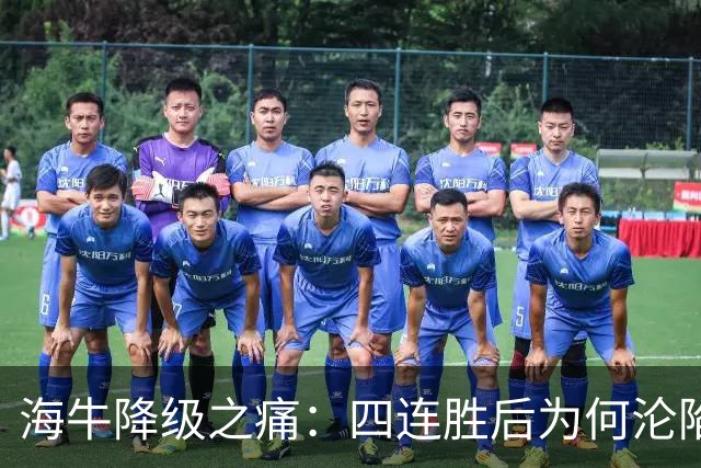 海牛降级之痛：四连胜后为何沦陷如此之快？